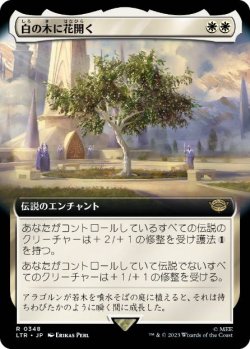 画像1: 【JPN/LTR-BF】白の木に花開く/Flowering of the White Tree【拡張アート】