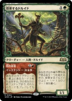 画像1: 【JPN/WOE-BF】探索するドルイド/Questing Druid [緑] 『R』【ショーケース】