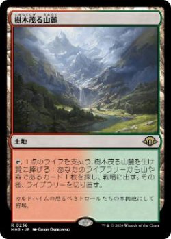 画像1: 【JPN/MH3】樹木茂る山麓/Wooded Foothills