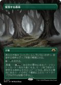 【JPN/MH3-BF/FOIL★】変容する森林/Shifting Woodland【ボーダーレス】