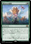 【JPN/MH3】枝分かれの進化/Branching Evolution