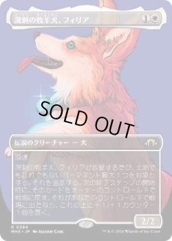 画像1: 【JPN/MH3-BF】溌剌の牧羊犬、フィリア/Phelia, Exuberant Shepherd【ボーダーレス】