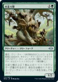 【JPN/MH2】小走り樫/Scurry Oak