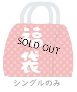 画像1: 『2025年新春3万円福袋』《シングルのみ》