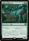 ≪予約商品≫【JPN/DFT】威厳ある放漫トカゲ/Regal Imperiosaur [緑] 『R』