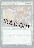 【JPN/THB/FOIL★】ニクス咲きの古きもの/Nyxbloom Ancient【プロモパック】