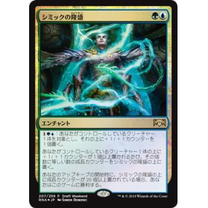 画像: 【JPN/RNA/PRM/Foil★】シミックの隆盛/Simic Ascendancy【Draft Weekend】