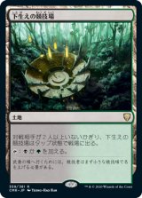 画像: 【JPN/CMR/FOIL★】下生えの競技場/Undergrowth Stadium