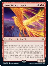 画像: 【JPN/CMR】オーロラのフェニックス/Aurora Phoenix