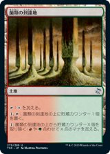 画像: 【JPN/TSR】菌類の到達地/Fungal Reaches『U』 [土地]