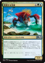 画像: 【JPN/M20】発現する浅瀬/Risen Reef