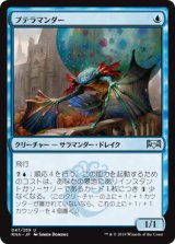 画像: 【JPN/RNA】プテラマンダー/Pteramander