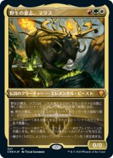 画像: 【JPN/CMR-BF/FOIL★】野生の意志、マラス/Marath, Will of the Wild【エッチング】