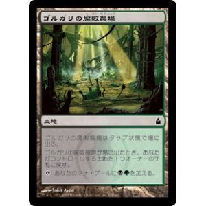 画像: 【JPN/RAV】ゴルガリの腐敗農場/Golgari Rot Farm