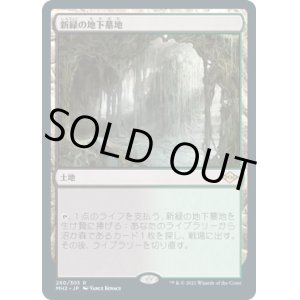 画像: 【JPN/MH2/Foil★】新緑の地下墓地/Verdant Catacombs