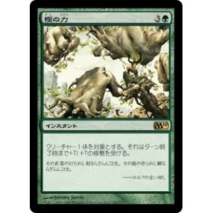 画像: 【JPN/M10/Foil★】樫の力/Might of Oaks