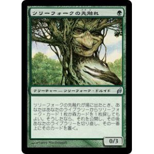 画像: 【JPN/LRW】ツリーフォークの先触れ/Treefolk Harbinger