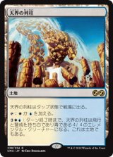 画像: 【JPN/UMA/FOIL★】天界の列柱/Celestial Colonnade