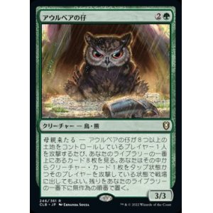 画像: 【JPN/CLB】アウルベアの仔/Owlbear Cub