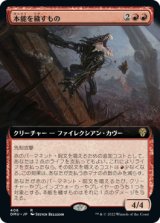 画像: 【JPN/DMU-BF/Foil★】本能を穢すもの/Defiler of Instinct [赤] 『R』【拡張アート】