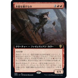 画像: 【JPN/DMU-BF/Foil★】本能を穢すもの/Defiler of Instinct [赤] 『R』【拡張アート】