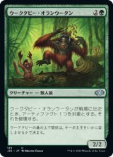 画像: 【JPN/J22】ウークタビー・オランウータン/Uktabi Orangutan