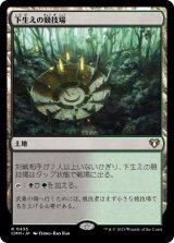 画像: 【JPN/CMM/FOIL★】下生えの競技場/Undergrowth Stadium