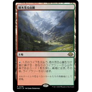 画像: 【JPN/MH3】樹木茂る山麓/Wooded Foothills