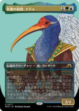 画像: 【JPN/MH3-BF】有翼の叡智、ナドゥ/Nadu, Winged Wisdom【ボーダーレス】