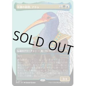 画像: 【JPN/MH3-BF】有翼の叡智、ナドゥ/Nadu, Winged Wisdom【ボーダーレス】