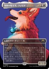 画像: 【JPN/MH3-BF】溌剌の牧羊犬、フィリア/Phelia, Exuberant Shepherd【ボーダーレス】