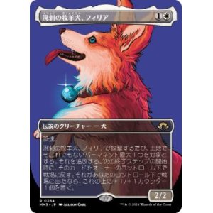 画像: 【JPN/MH3-BF】溌剌の牧羊犬、フィリア/Phelia, Exuberant Shepherd【ボーダーレス】