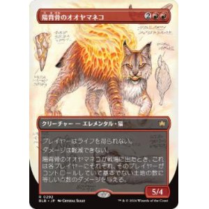 画像: 【JPN/BLB-BF】陽背骨のオオヤマネコ/Sunspine Lynx  [赤] 『R』【ショーケース】