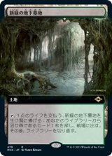 画像: 【JPN/MH2-BF/Foil★】新緑の地下墓地/Verdant Catacombs【拡張アート】