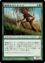 画像: 【JPN/LRW】種導きのトネリコ/Seedguide Ash