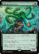 画像: 【JPN/FDN-BF/Foil★】溌剌とした探検家、おたから/Loot, Exuberant Explorer  [緑] 『R』【拡張アート】 