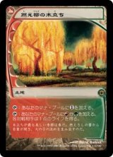 画像: 【JPN/FUT】燃え柳の木立ち/Grove of the Burnwillows【EX-】