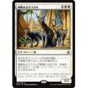 画像: 【JPN/AKH】威厳あるカラカル/Regal Caracal 『R』[白]