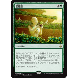 画像: 【JPN/AKH】収穫期/Harvest Season 『R』[緑]