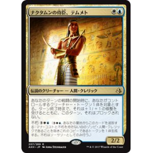 画像: 【JPN/AKH】ナクタムンの侍臣、テムメト/Temmet, Vizier of Naktamun 『R』[マルチ]