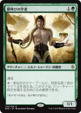 画像: 【JPN/BFZ】獣呼びの学者/Beastcaller Savant 『R』