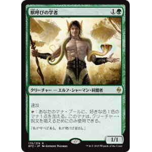 画像: 【JPN/BFZ】獣呼びの学者/Beastcaller Savant 『R』