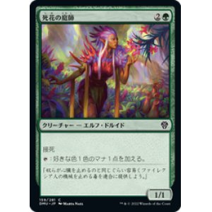 MTG - カードショップ はま屋 (Page 398)