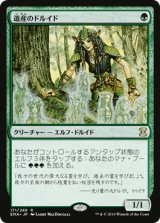 画像: 【JPN/EMA】遺産のドルイド/Heritage Druid 『R』