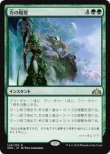 画像: 【JPN/GRN】力の報奨/Bounty of Might 『R』 [緑]