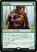 画像: 【JPN/GRN】生皮収集家/Pelt Collector 『R』 [緑]