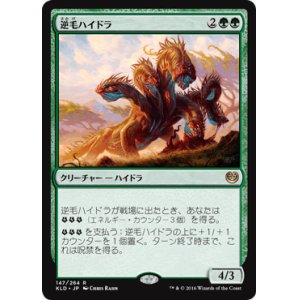 画像: 【JPN/KLD】逆毛ハイドラ/Bristling Hydra 『R』