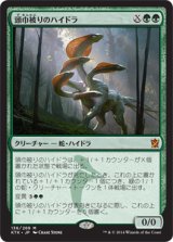 画像: 【JPN/KTK】頭巾被りのハイドラ/Hooded Hydra