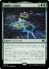 画像: 【JPN/LCI/Foil★】髑髏胞子の結節点/The Skullspore Nexus [緑] 『M』