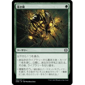 MTG - カードショップ はま屋 (Page 77)